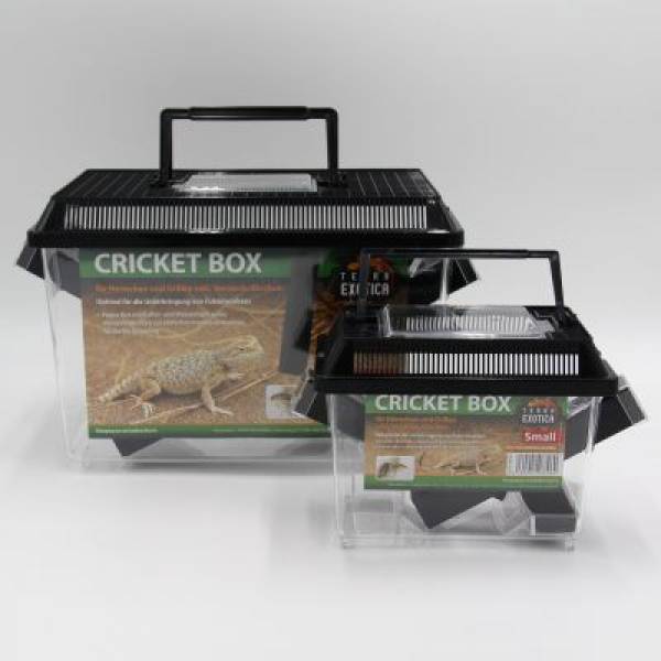 Preview: Cricket Box Verschiedene Größen